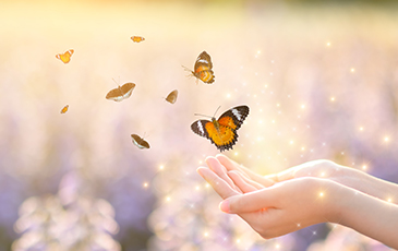 Work-Life Balance Coaching, Stress Coaching