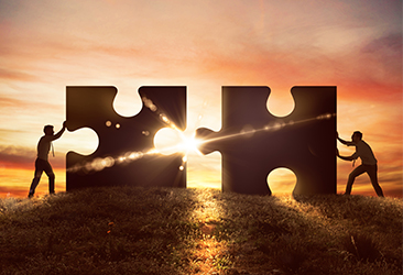 C-Suite Coaching for Balance, Stress, and Holistic Living