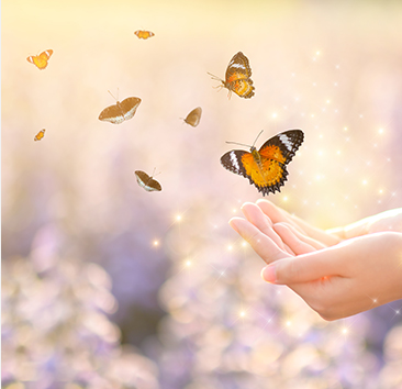 Coaching for Balance, Stress, and Holistic Living