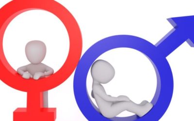 The Gender Debate